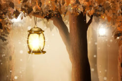 How to Start Your Own Outdoor Landscape Lighting Project?