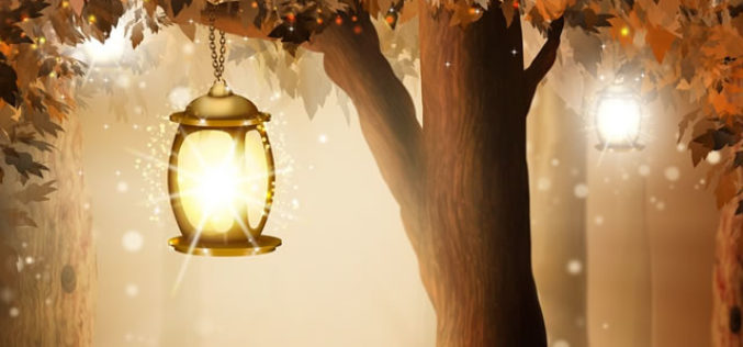 How to Start Your Own Outdoor Landscape Lighting Project?
