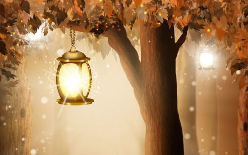 How to Start Your Own Outdoor Landscape Lighting Project?