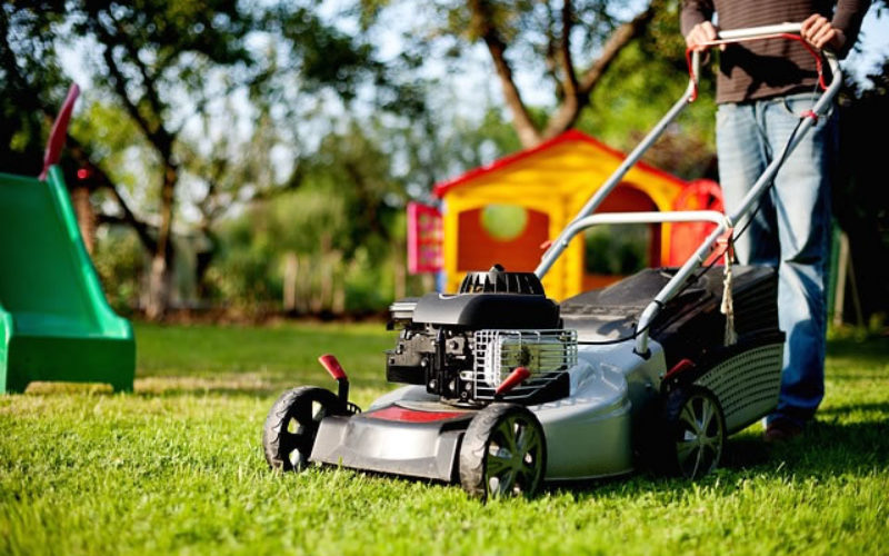 5 Things to Consider When Purchasing Your First Lawn Mower