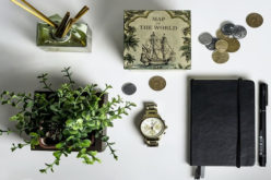 Tips To Grow A Money Plant In Your Home