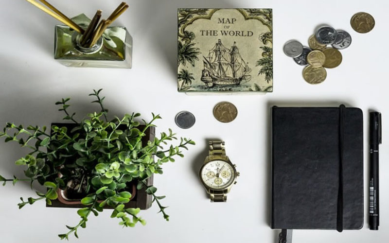 Tips To Grow A Money Plant In Your Home