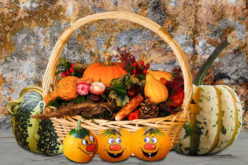 7 Unique Ideas For Affordable Thanksgiving Home Decorations