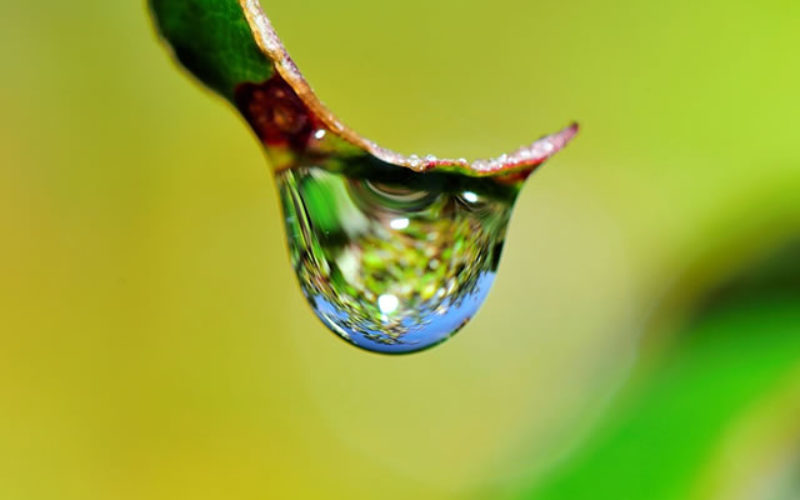 3 Eco-Friendly Watering Systems to Save Water in the Garden