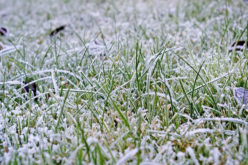 Off-Season Care: How to Get Your Lawn Ready for Winter