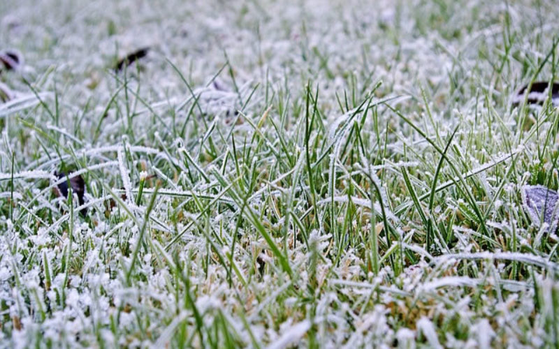 Off-Season Care: How to Get Your Lawn Ready for Winter