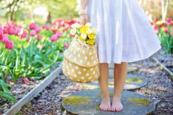7 Steps to Maintaining a Healthy Garden