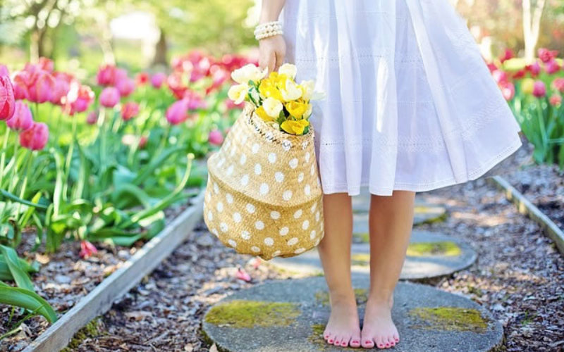 7 Steps to Maintaining a Healthy Garden