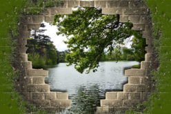 How to Deal with Home Water Damage – 6 Steps