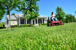 Top Things to Look for in a Lawn Care Company