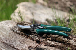 4 of the Best DIY Pruning Tips for Your Garden Plants