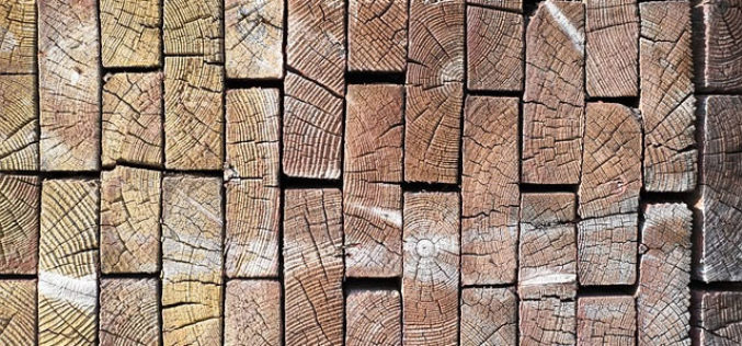 Benefits of Going for Timber Waste Management