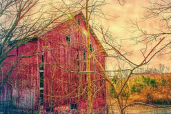 5 Rustic Home Improvement Project Ideas