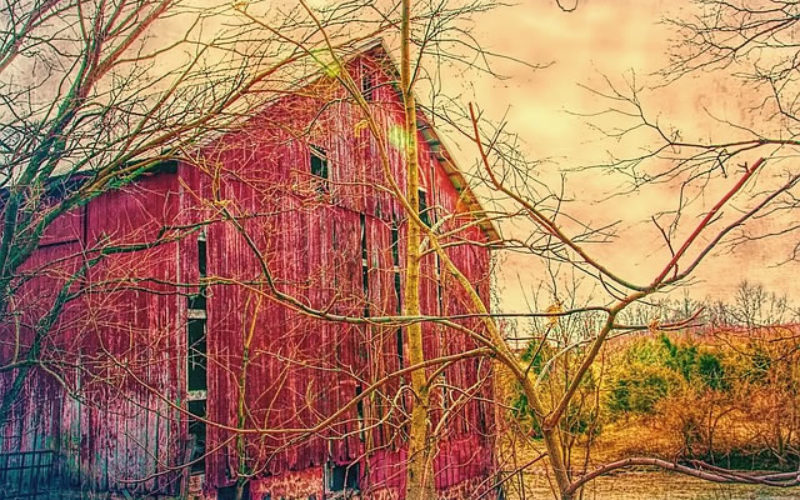 5 Rustic Home Improvement Project Ideas