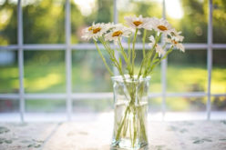 Casement vs. Double Hung: Which Is Better?