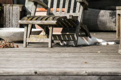 7 Tips for Taking Your Deck from Drab to Delightful
