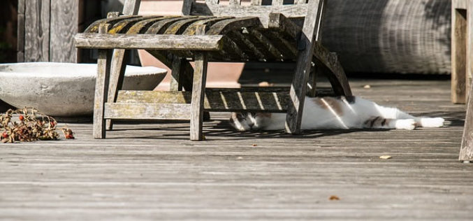 7 Tips for Taking Your Deck from Drab to Delightful