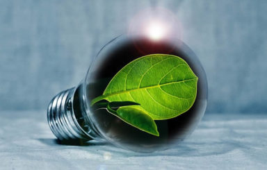 Going Green Gallery