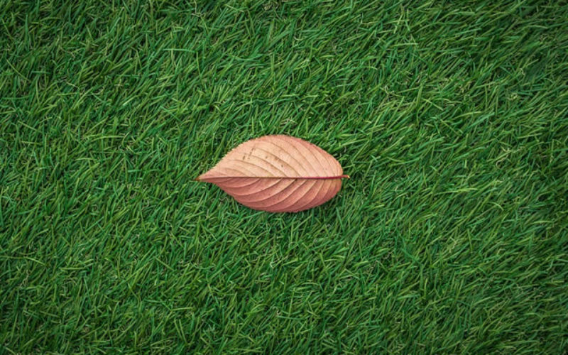 Choosing The Best Artificial Grass For Your Pet