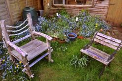 <span>Sunday Morning Tip for May 13:</span> Disguising Unsightly Features In Your Garden