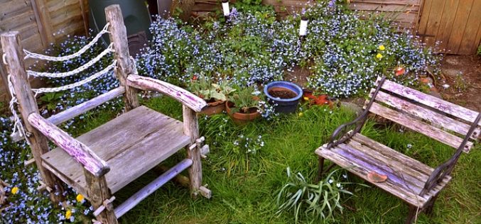 <span>Sunday Morning Tip for May 13:</span> Disguising Unsightly Features In Your Garden