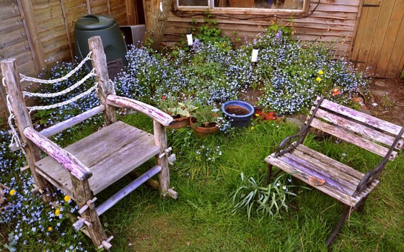 <span>Sunday Morning Tip for May 13:</span> Disguising Unsightly Features In Your Garden