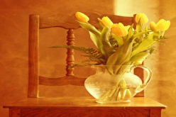 Seven Things About Good Interior Designers You Must Know