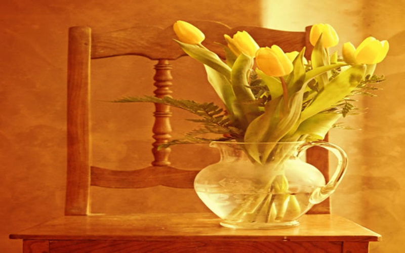 Seven Things About Good Interior Designers You Must Know