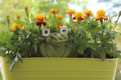 Tear Down That Wall: 5 Home Improvements to Make This Summer