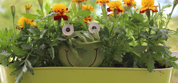 Tear Down That Wall: 5 Home Improvements to Make This Summer