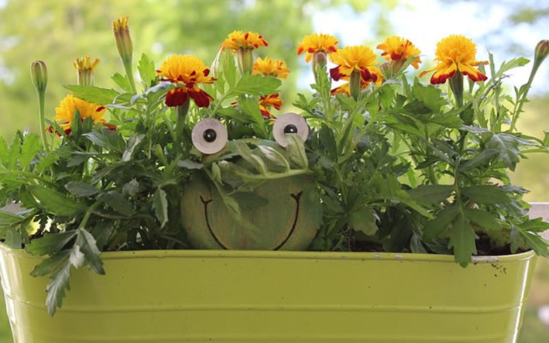 Tear Down That Wall: 5 Home Improvements to Make This Summer