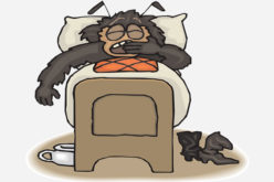 <span>Sunday Morning Tip for Jul 01:</span> Dangers of Bed Bugs and How to Eliminate Them
