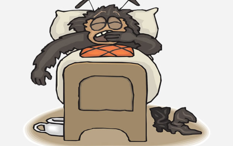 <span>Sunday Morning Tip for Jul 01:</span> Dangers of Bed Bugs and How to Eliminate Them