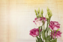 How to Make Your New Home Brighter and Ready for Company