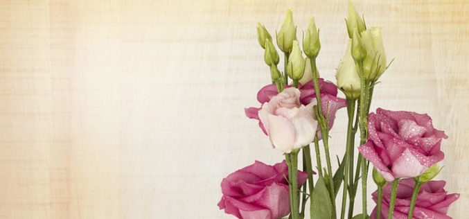 How to Make Your New Home Brighter and Ready for Company