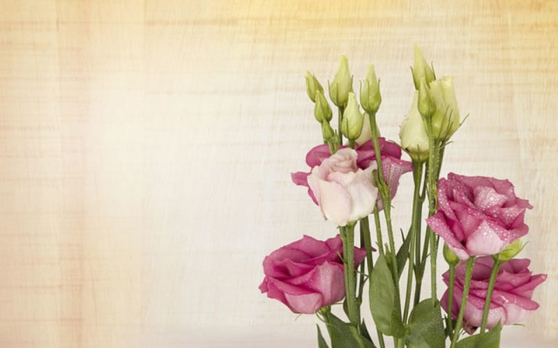How to Make Your New Home Brighter and Ready for Company