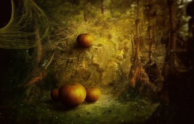 Halloween Decor