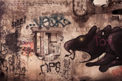 A Look at Invasive Urban Pests