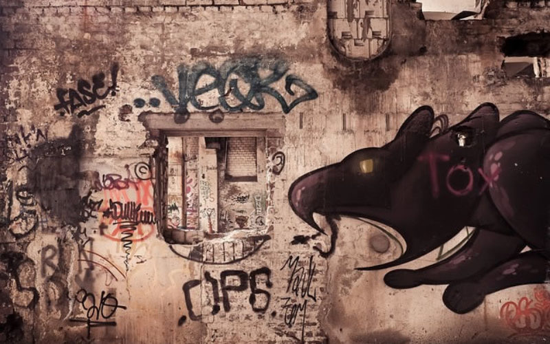 A Look at Invasive Urban Pests