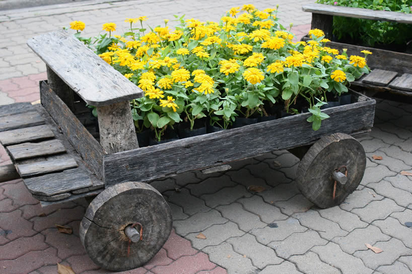 flower pots