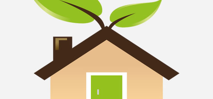 Guide to Green Building and Renovating Your Home