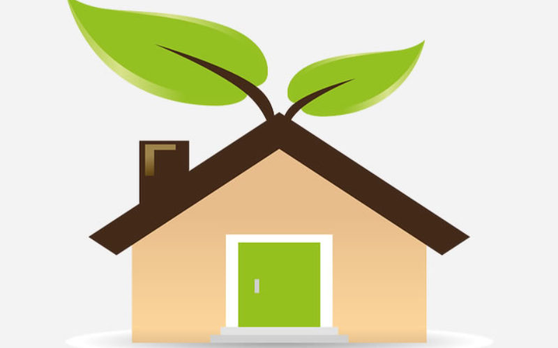 Guide to Green Building and Renovating Your Home