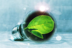 Green Renovation Ideas That Will Add Value to Your Home