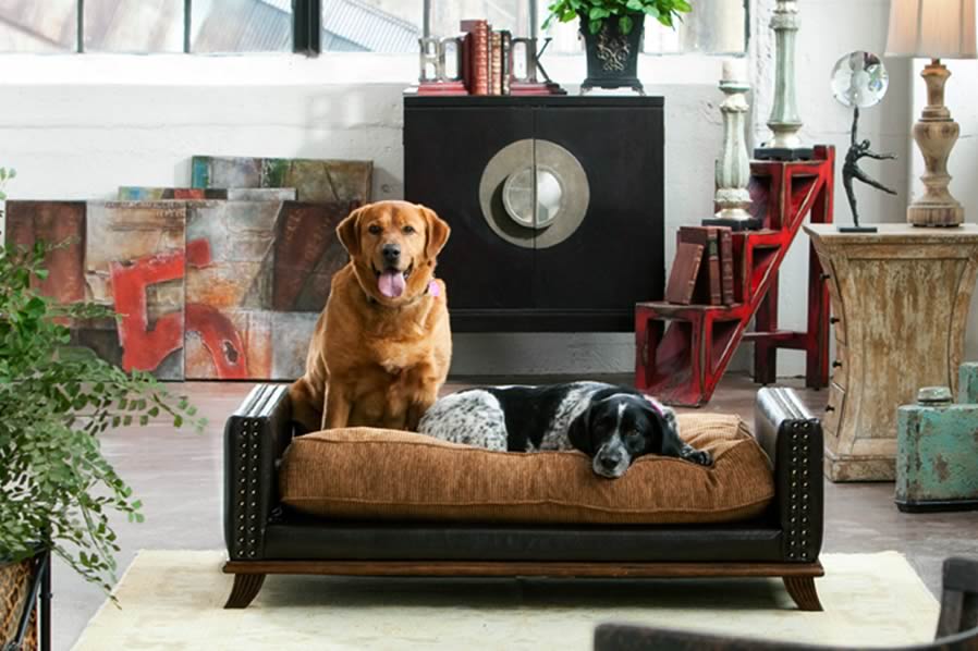 pet furniture