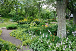 5 Fun Projects for Your Yard and Garden