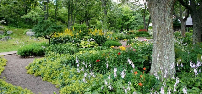 5 Fun Projects for Your Yard and Garden