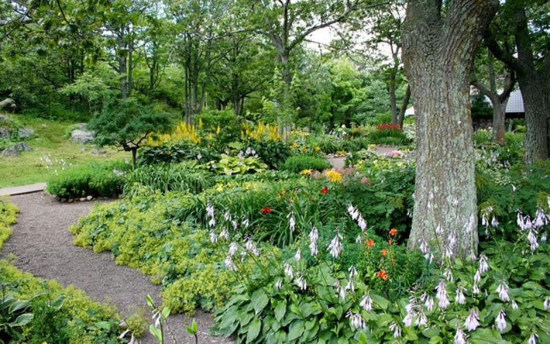 5 Fun Projects for Your Yard and Garden