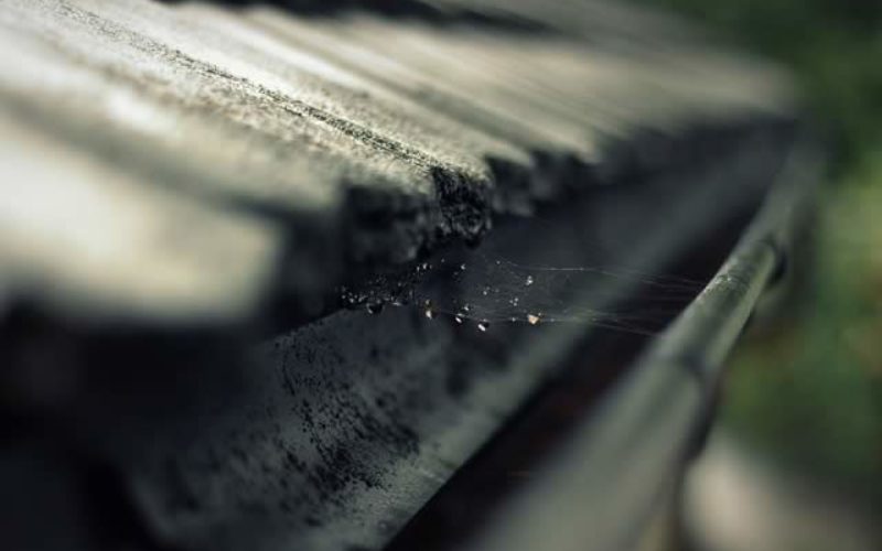 What are the Commonest Gutter Repairs Issues to Fix?