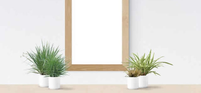 Cheap Home Decorating Ideas: Using Your Empty Wall Space