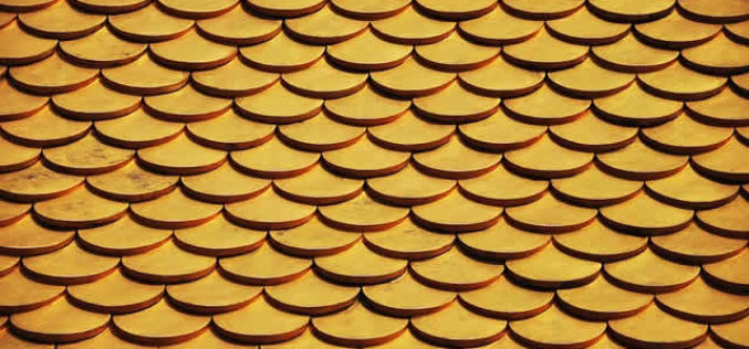 The Best Maintenance Tips for Clay Tile Roofs